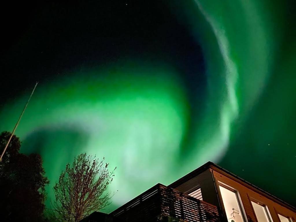 Waterfront Senja Appartement Torsken Buitenkant foto