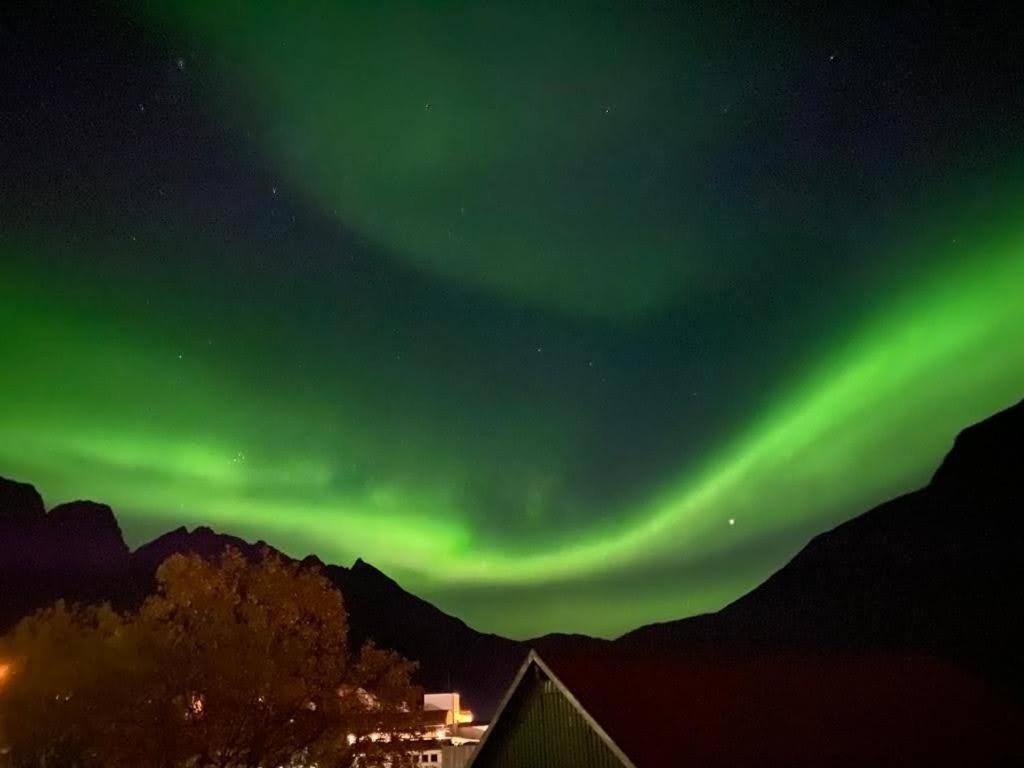 Waterfront Senja Appartement Torsken Buitenkant foto