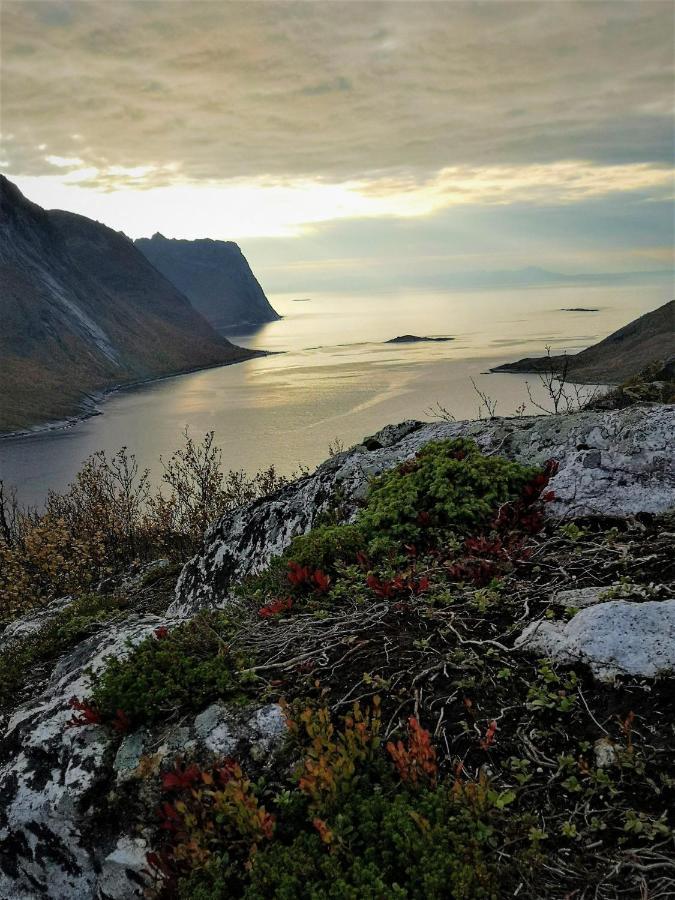 Waterfront Senja Appartement Torsken Buitenkant foto