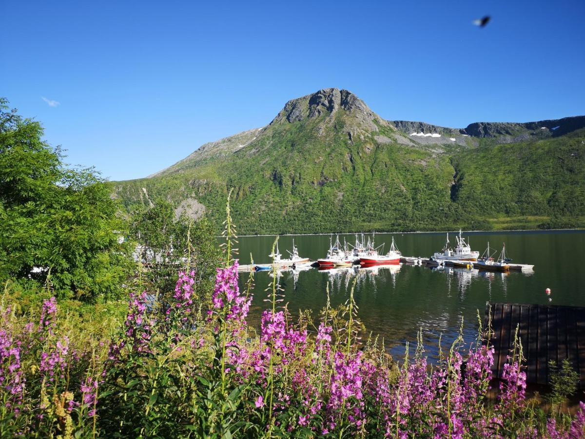 Waterfront Senja Appartement Torsken Buitenkant foto