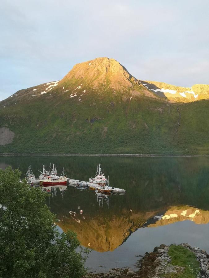 Waterfront Senja Appartement Torsken Buitenkant foto