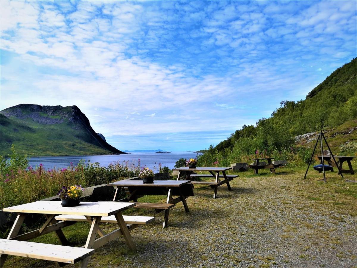 Waterfront Senja Appartement Torsken Buitenkant foto