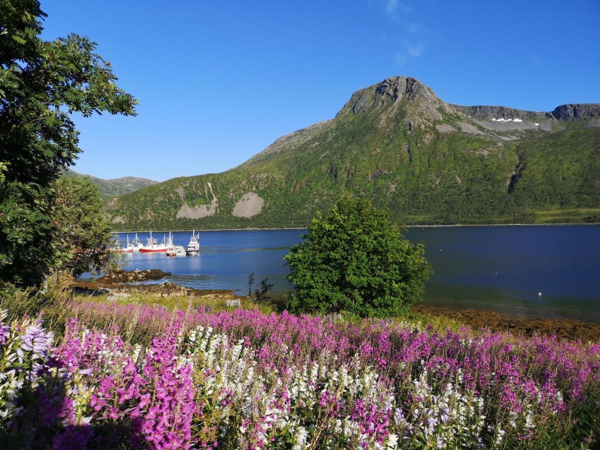 Waterfront Senja Appartement Torsken Buitenkant foto