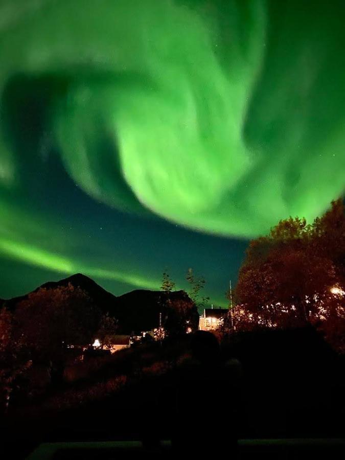 Waterfront Senja Appartement Torsken Buitenkant foto