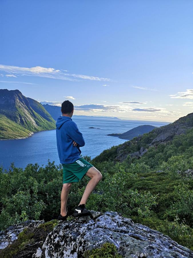 Waterfront Senja Appartement Torsken Buitenkant foto
