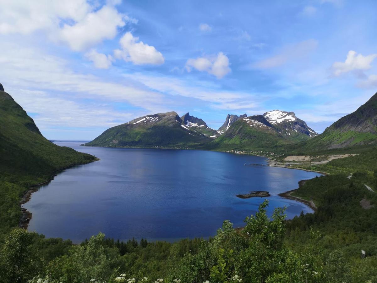 Waterfront Senja Appartement Torsken Buitenkant foto